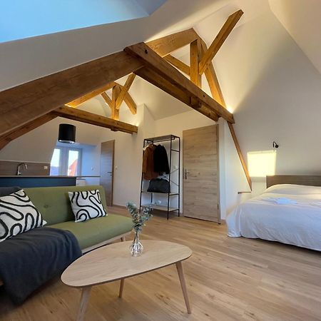 Appartement Moderne Et Spacieux, A 10 Min De La Gare Colmar Zewnętrze zdjęcie