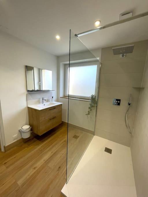 Appartement Moderne Et Spacieux, A 10 Min De La Gare Colmar Zewnętrze zdjęcie