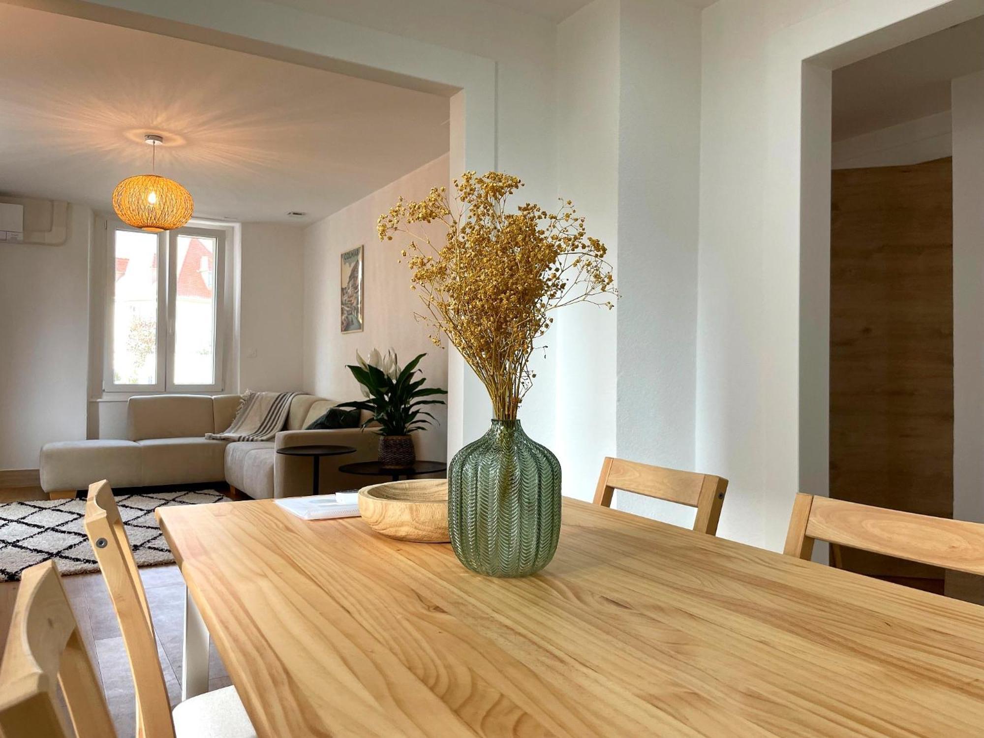 Appartement Moderne Et Spacieux, A 10 Min De La Gare Colmar Zewnętrze zdjęcie
