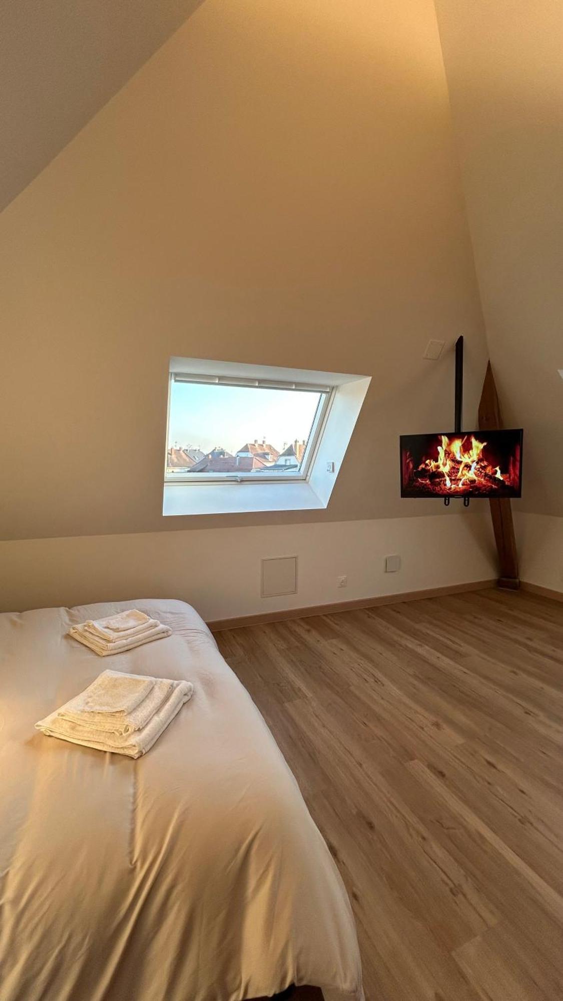 Appartement Moderne Et Spacieux, A 10 Min De La Gare Colmar Zewnętrze zdjęcie
