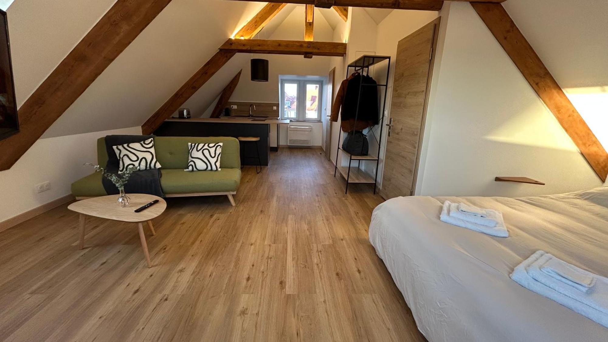 Appartement Moderne Et Spacieux, A 10 Min De La Gare Colmar Zewnętrze zdjęcie