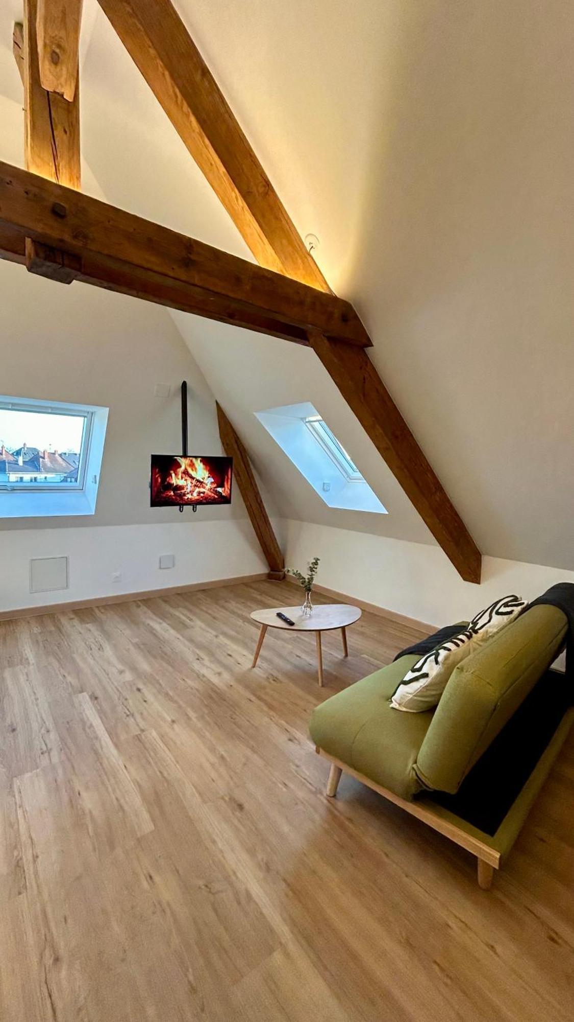 Appartement Moderne Et Spacieux, A 10 Min De La Gare Colmar Zewnętrze zdjęcie