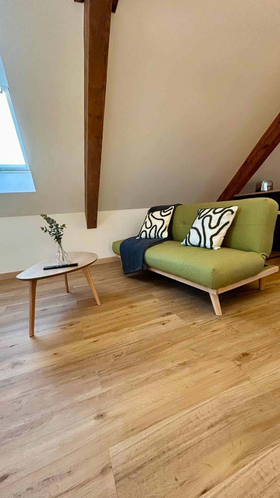 Appartement Moderne Et Spacieux, A 10 Min De La Gare Colmar Zewnętrze zdjęcie